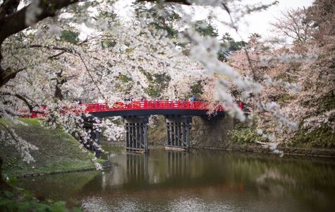 Gokurakuyu, Aomori 1