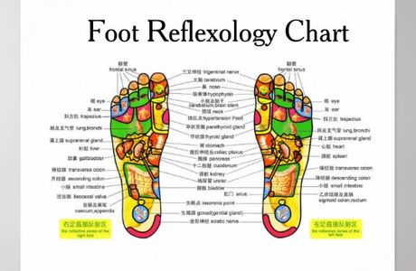 QC Reflexology