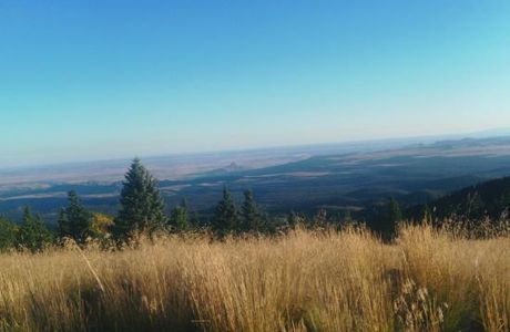 Mount Taylor