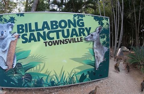 Billabong Sanctuary