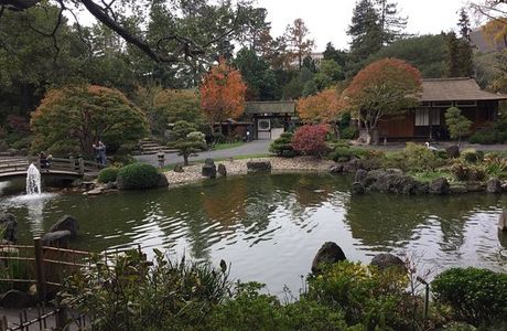 The San Mateo Japanese Garden