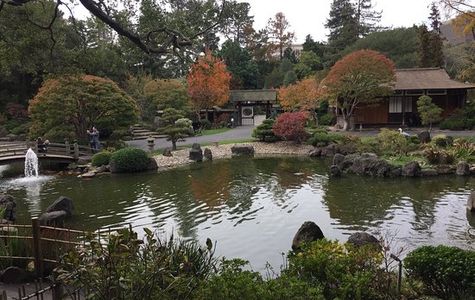 The San Mateo Japanese Garden 1