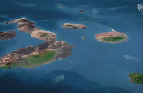 Darwin & Wolf Islands