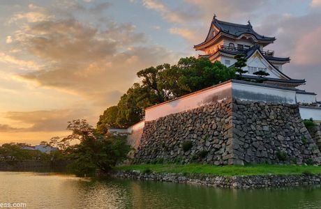 Kishiwada Tourist Farm