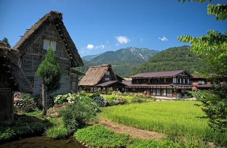 Ikuko Shirakawa