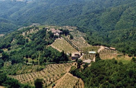 Azienda Agricola San Paolo