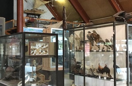 National Museum of Vanuatu