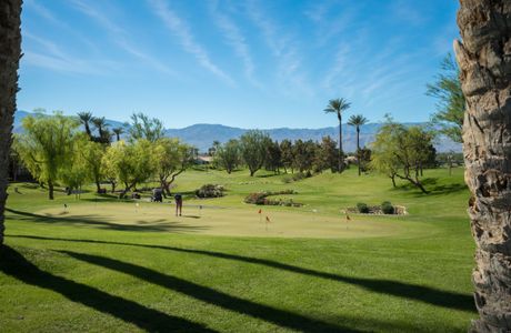Palm and Valley Golf Courses at Desert Springs