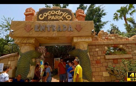 Cocodrilo Park Gran Canaria 1