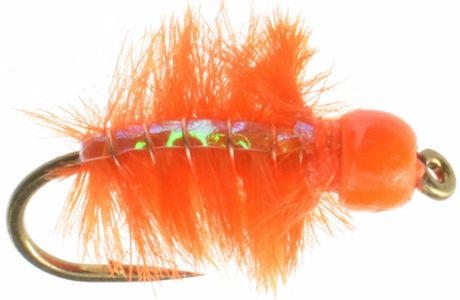 Charlie's Orange