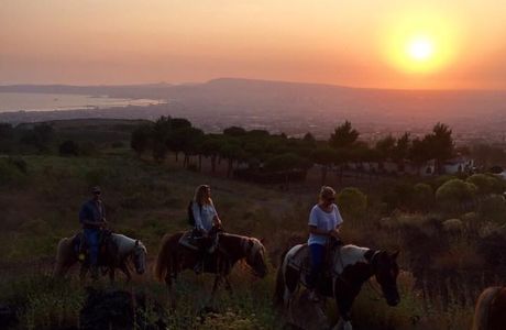 Horse Riding Tour