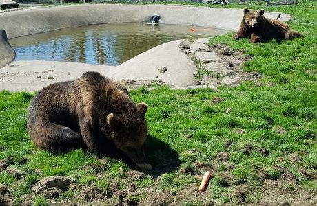 Camperdown Wildlife Centre