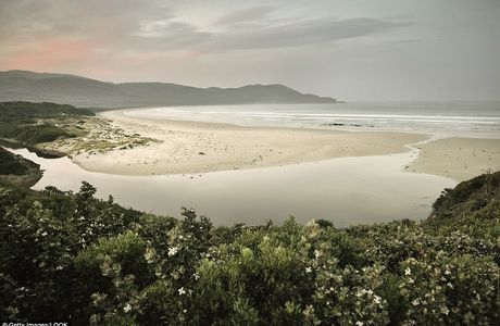 East Cloudy Head Track