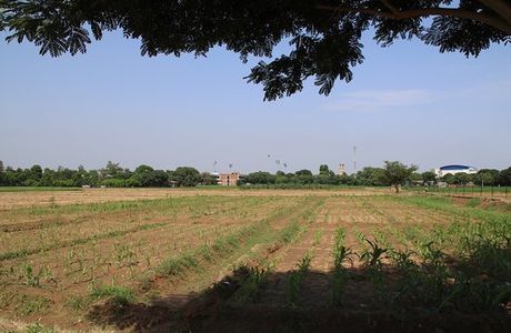 Punjab Agricultural University Museum