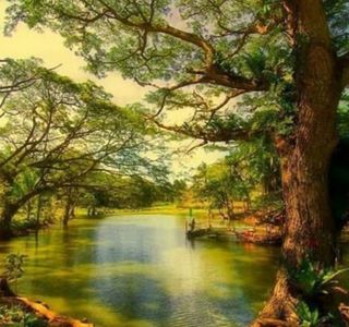 Rajah Sikatuna Protected Landscape