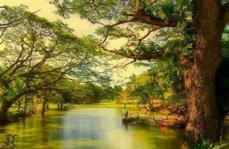 Rajah Sikatuna Protected Landscape
