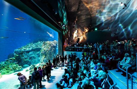 Explore the Ocean World Oceanarium