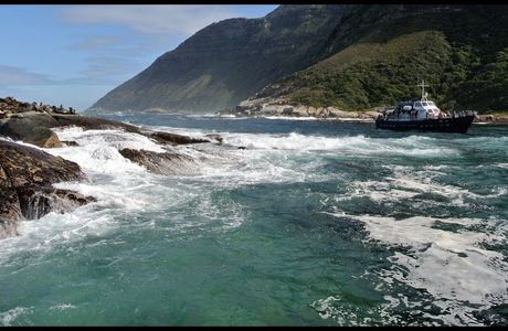 Duiker Island