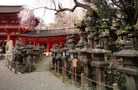 Kasuga Taisha Museum