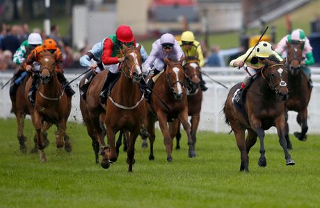Thirsk Racecourse