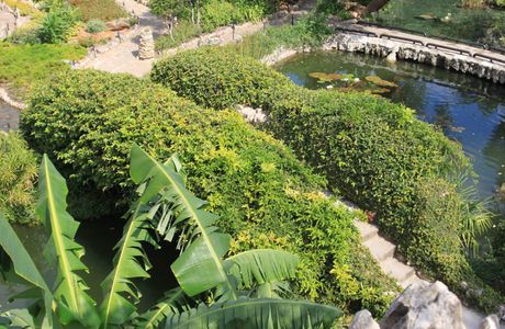 Japanese Tea Gardens