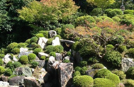 Osawano Japanese Garden