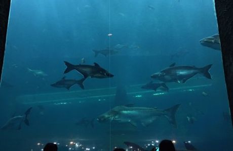 Nong Khai Aquarium