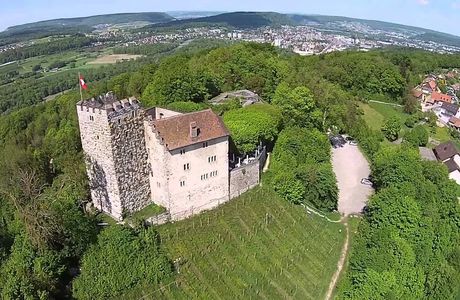Habsburg Castle