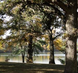 Ward Park