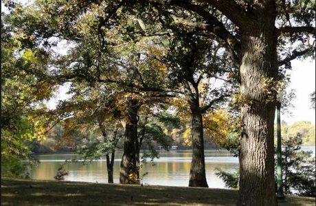 Ward Park