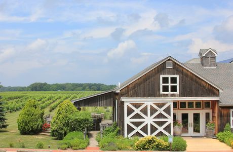 Paumanok Vineyards
