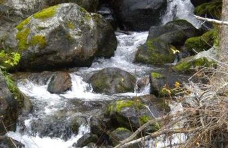 Basin Creek Lakes Trail
