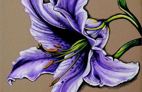 Purple Lily Art Studio