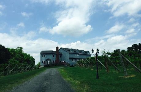 Connecticut Valley Winery