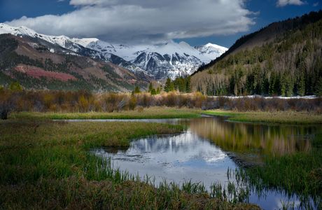 Valley Floor
