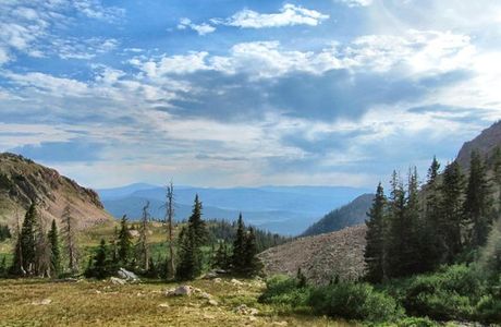 State Forest State Park