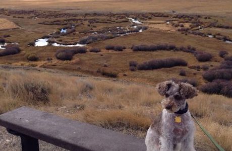 Arapaho National Wildlife Refuge