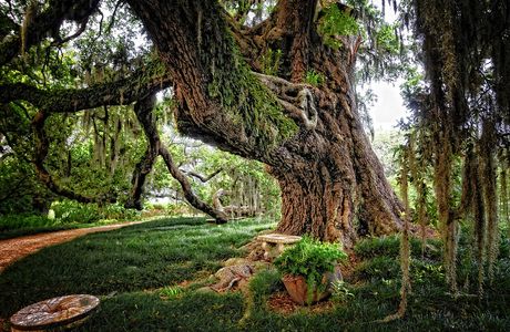 Rip Van Winkle Gardens