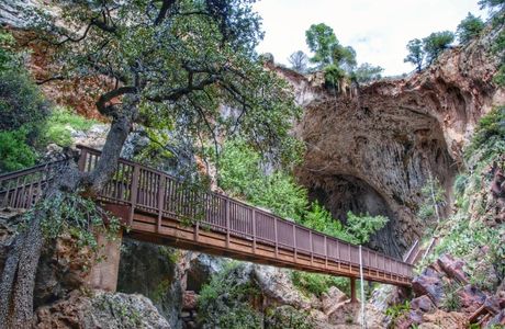 Natural Bridge State Park