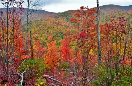 Gregory Bald via Gregory ridge