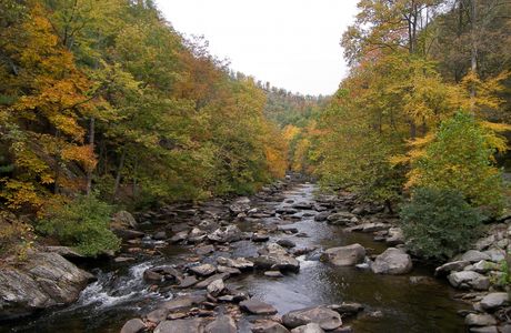Cherokee National Forest