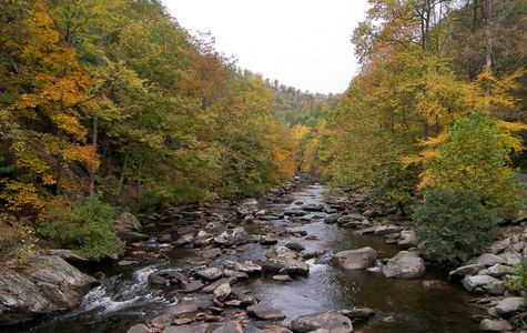 Cherokee National Forest 1