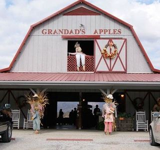 Grandad's Apples