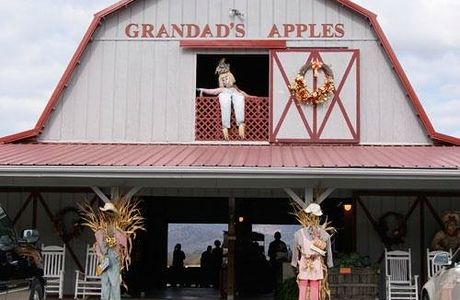 Grandad's Apples