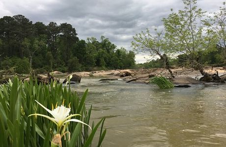 Palmetto Outdoor Center