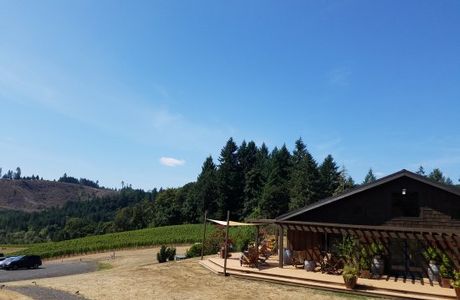 Coeur de Terre Vineyard