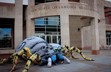 Sam Noble Oklahoma Museum of Natural History