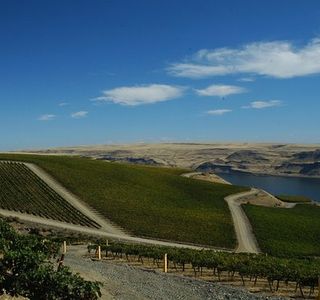 Walla Walla Wine Limo