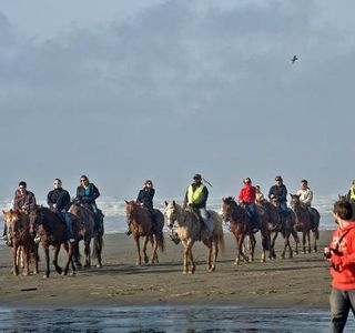 Chenois Creek Horse Ranch