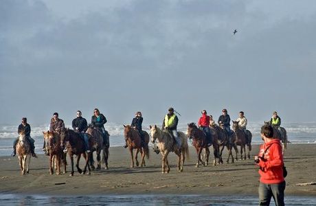 Chenois Creek Horse Ranch